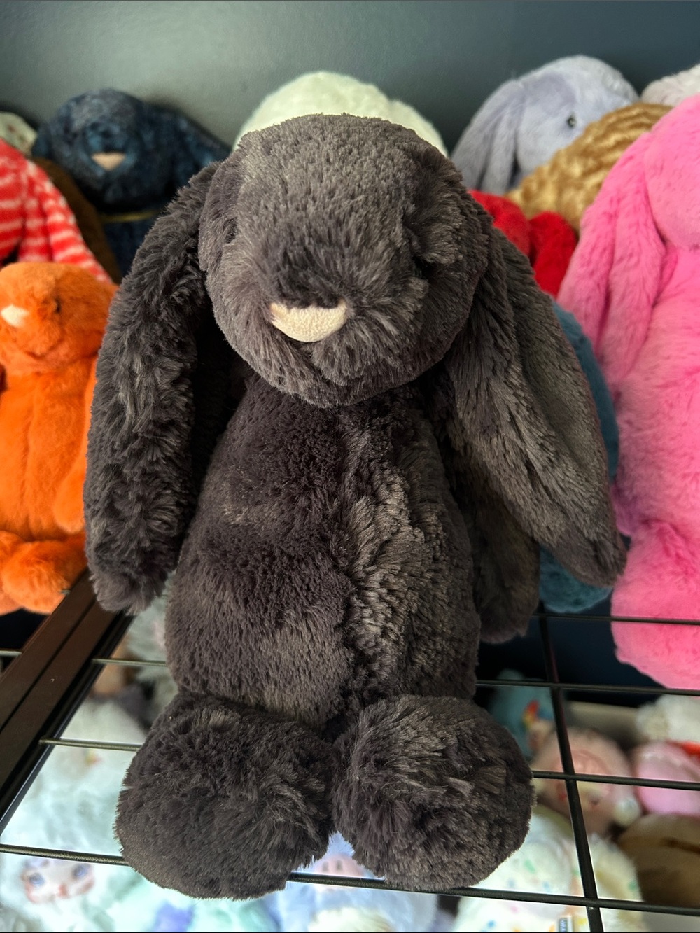 Very rare medium Inky Bunny